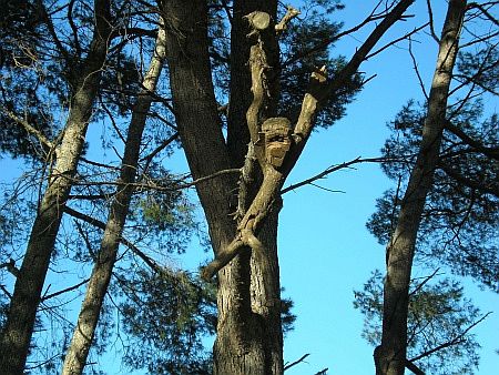 �cluse de l`Aiguille