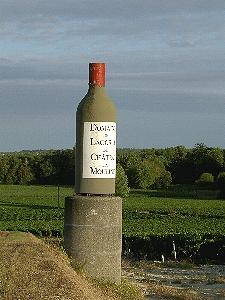 Auf einem Weinfeld im M�doc