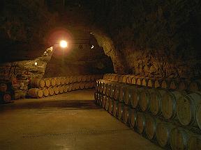 Im Weinkeller von Terra Vinea