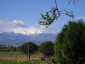 Mont Canigou