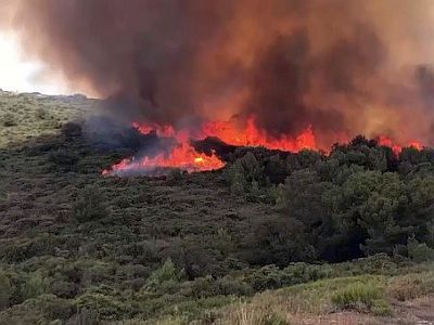 In der Clape bei Narbonne-Plage