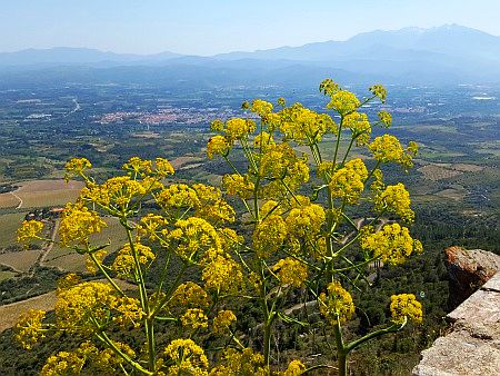 L`ermitage de For�a-R�al