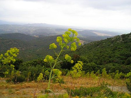 L`ermitage de For�a-R�al