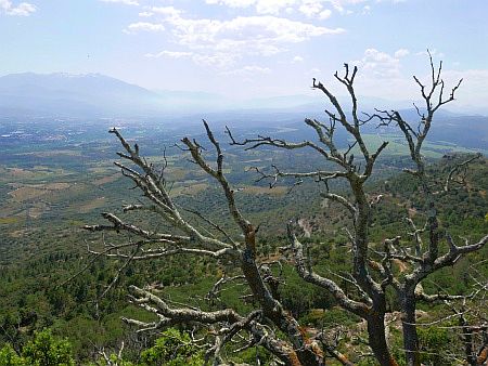 L`ermitage de For�a-R�al