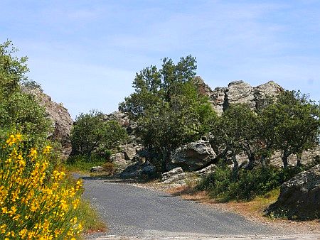 L`ermitage de For�a-R�al