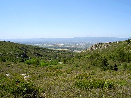 Garrigue