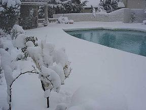 Im Winter nahe der K�ste