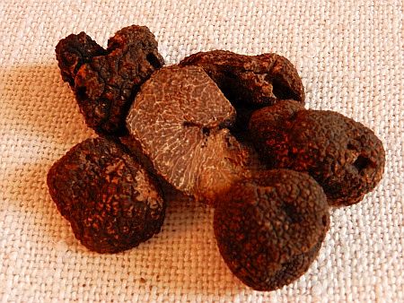 Maison de la Truffe d`Occitanie