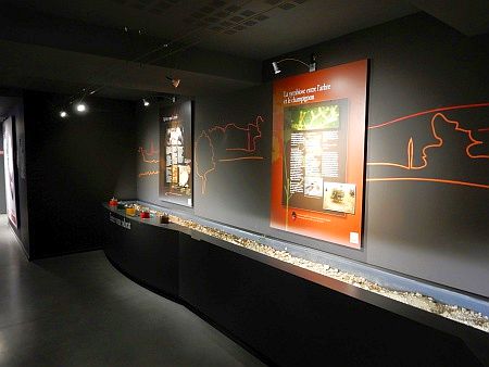 Maison de la Truffe d`Occitanie