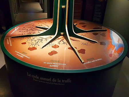 Maison de la Truffe d`Occitanie