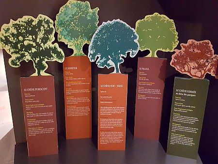 Maison de la Truffe d`Occitanie