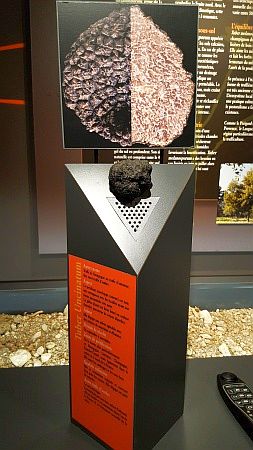 Maison de la Truffe d`Occitanie