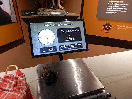 Maison de la Truffe d`Occitanie