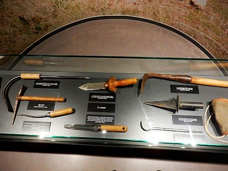 Maison de la Truffe d`Occitanie