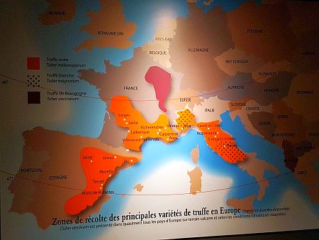 Maison de la Truffe d`Occitanie