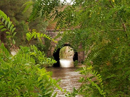 Tunnel de Malpas