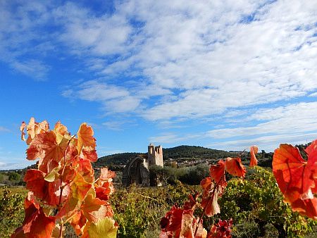 Notre-Dame-des-Oubiels