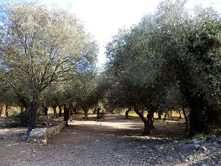 Notre-Dame-des-Oubiels