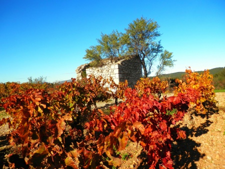 Herbst im Corbires