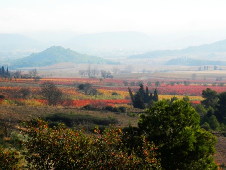 Herbst im Corbires