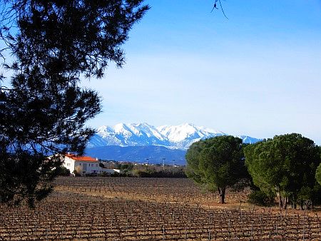 Canigou
