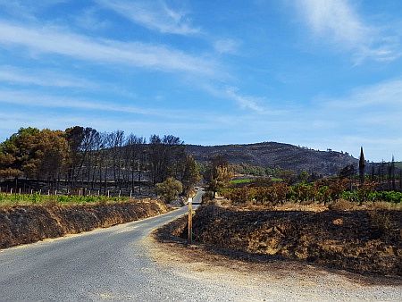 Waldbrand in Okzitanien