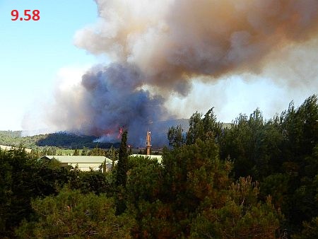 Waldbrand um 9.58