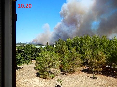 Waldbrand um10.20