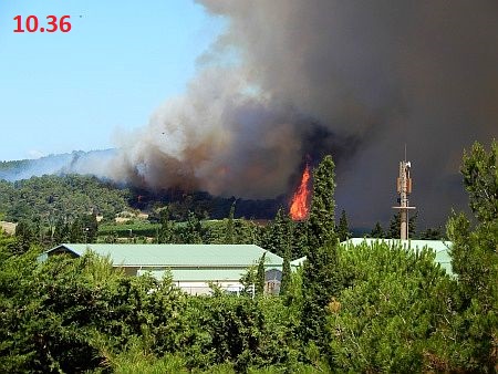 Waldbrand um 10.36