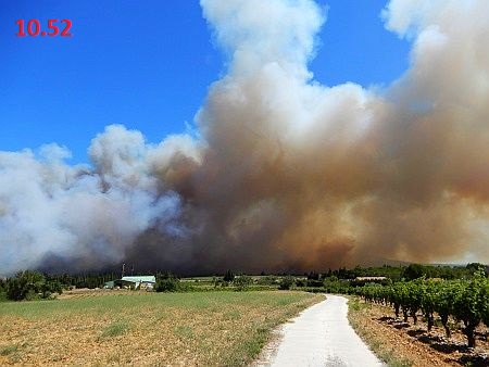 Waldbrand um 10.52