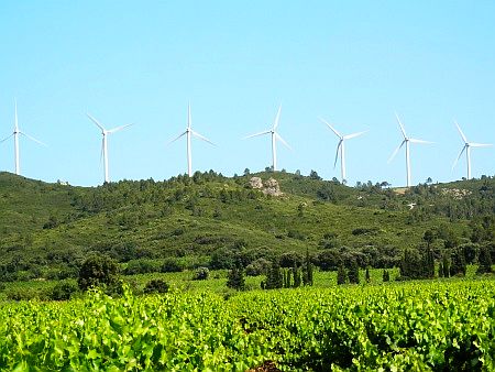 Windkraftanlagen und Wein