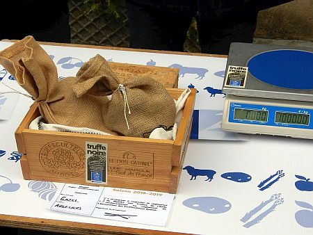 Verplombt warten die Tr�ffel