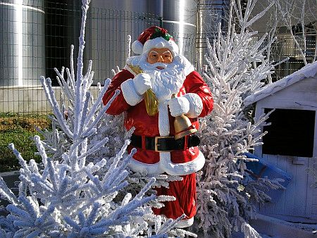 Nikolaus vor der Cave Cooperative