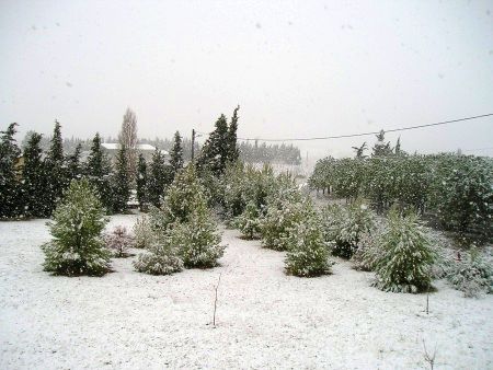 Schnee im Corbières