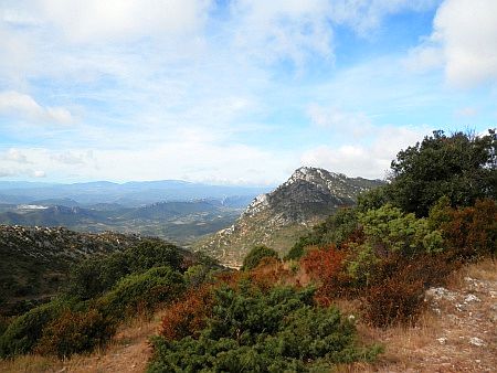 Ch�teau Qu�ribus