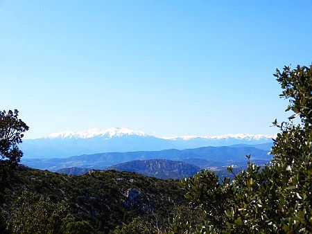 Ch�teau Qu�ribus