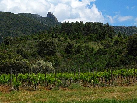 Ch�teau Qu�ribus