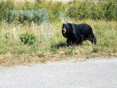 R�serve Africaine de Sigean