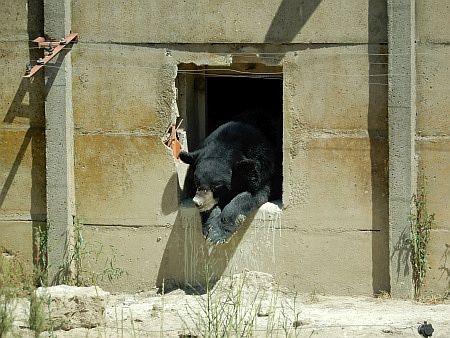 R�serve Africaine de Sigean