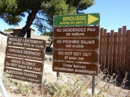 R�serve Africaine de Sigean