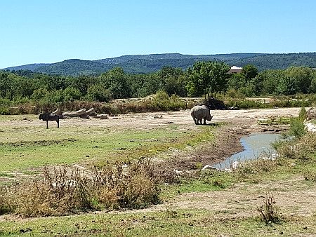 R�serve Africaine de Sigean