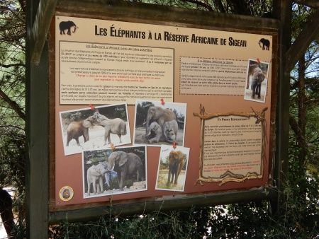 R�serve Africaine de Sigean