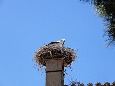 R�serve Africaine de Sigean