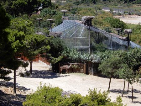 R�serve Africaine de Sigean