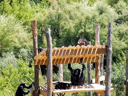 R�serve Africaine de Sigean