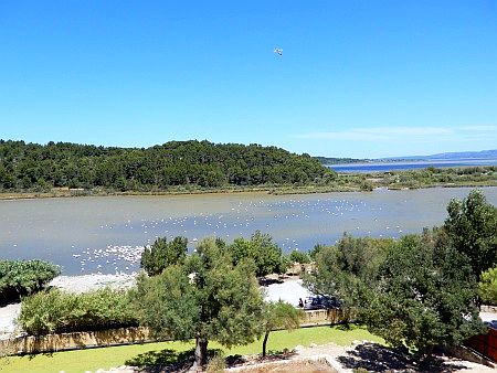 R�serve Africaine de Sigean