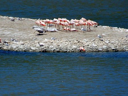 R�serve Africaine de Sigean