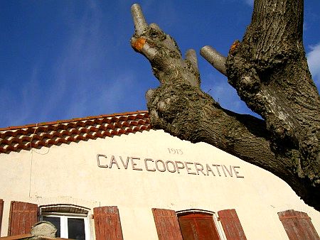 Cave Cooperative