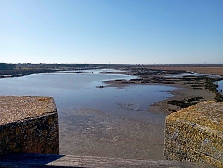 La Tour Carbonni�re