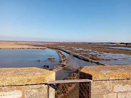 La Tour Carbonni�re